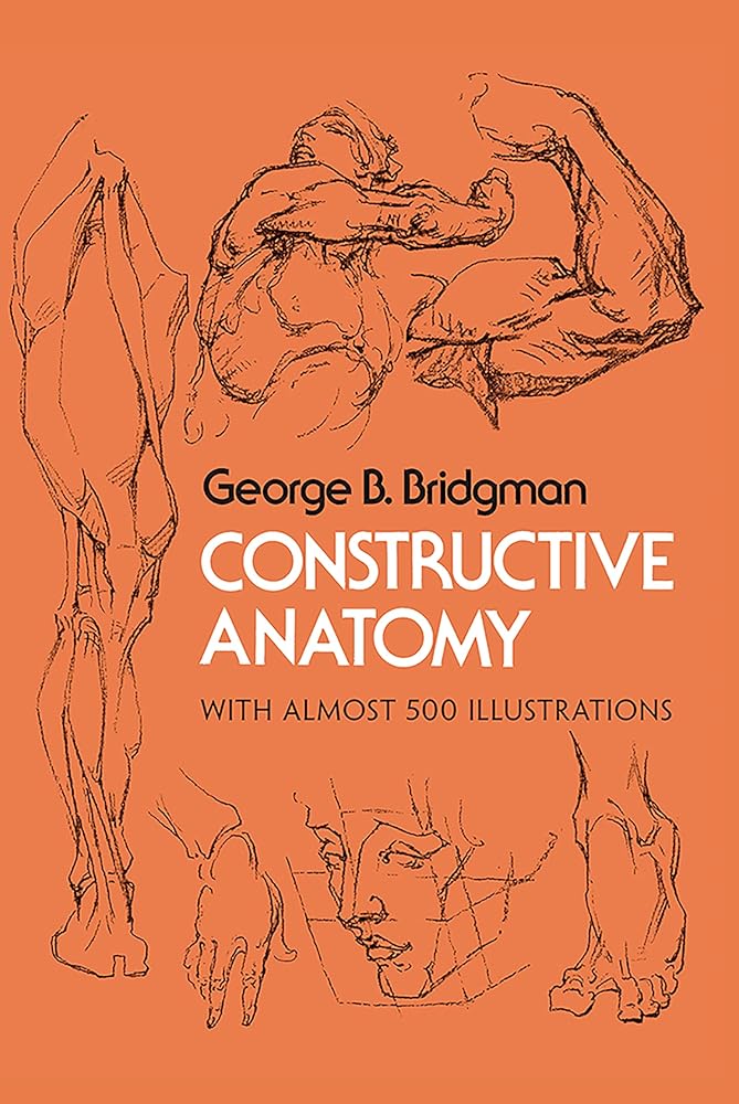 Constructive Anatomy: Includes Nearly 500 Illustrations (Dover Anatomy for Artists) cover image
